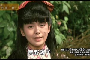 南野陽子イメージ